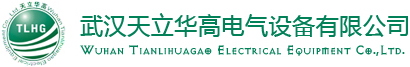 這是關(guān)于武漢天立華高電氣設(shè)備有限公司的logo圖片，歡迎大家來公司網(wǎng)站！